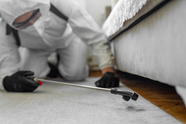 Professional Bed Bug Control technician working in Fairbank, IA