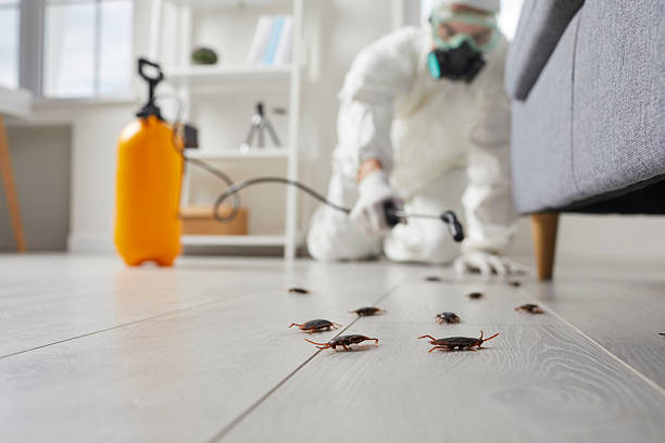 Trusted Rodent Control service in Fairbank, IA - Nex Pest Control